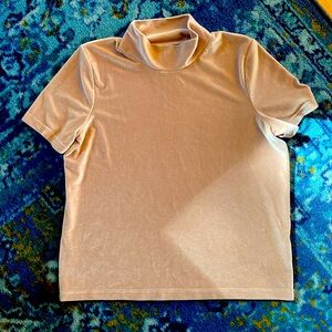 Madewell velvet mock neck tshirt Small